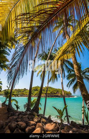 France, Guyane française, Kourou, Iles du Salut, Ile du Diable, Reste de la déportation du capitaine DREYFUS Banque D'Images