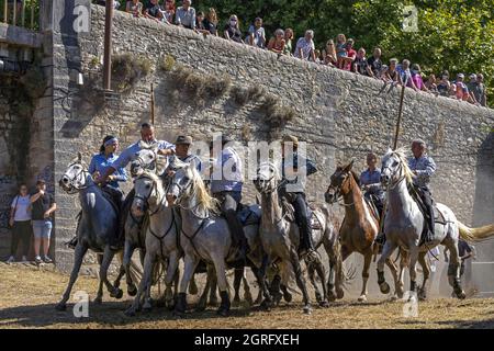 France, Hérault, Sauve, traversée de la rivière avec des taureaux Banque D'Images