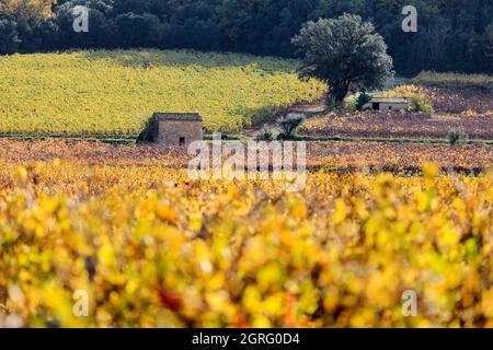 France, Var, le Thoronet, AOC Côtes de Provence, hangar dans les vignobles Banque D'Images