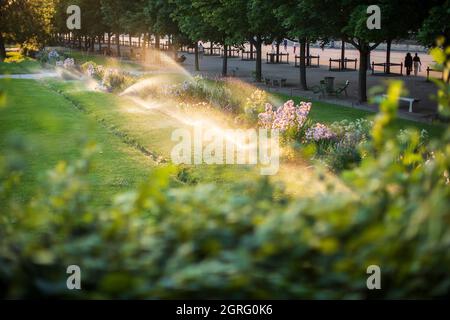 France, Paris, classé au patrimoine mondial de l'UNESCO, jardin des Tuileries Banque D'Images