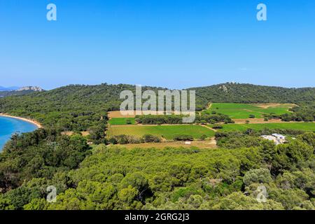 France, Var, Iles d'Hyères, Parc national de Port Cros, île de Porquerolles, Fondation Carmignac Banque D'Images