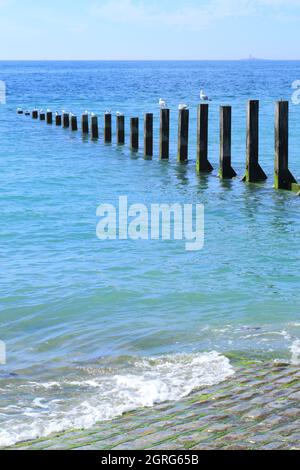 France, Vendée, île de Noirmoutier, l'Epine, Pointe du Devin, plage Banque D'Images