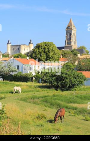 France, Vendée, île de Noirmoutier, Noirmoutier en ile, vue depuis le quai Jacobsen sur l'église Saint Philbert et le château Banque D'Images