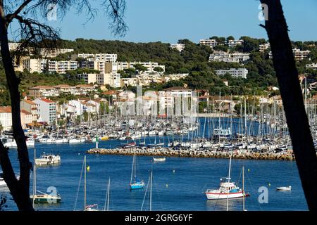 France, Var, Baie de Toulon, Saint-Mandrier-sur-Mer, le port Banque D'Images