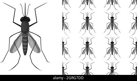 Insectes moustique isolés sur fond blanc et sans couture Illustration de Vecteur