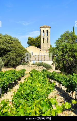 France, Vaucluse, Beaumes de Venise, chapelle notre-Dame d'Aubune (XIe et XIIe siècles) est l'un des plus beaux exemples de l'art roman provençal Banque D'Images