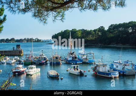 France, Morbihan, Golfe du Morbihan, Séné, Port-Anna Banque D'Images