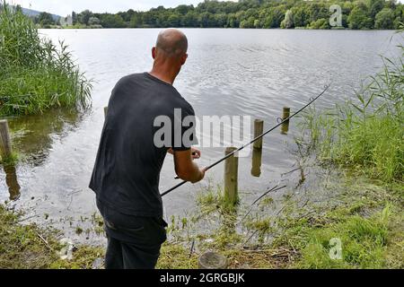 France, Doubs, pêche, carpe, étang, pêcheur Banque D'Images