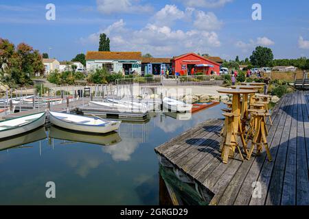 France, Charente-Maritime, île d'Oléron, le Grand-Village-Plage, le port Banque D'Images