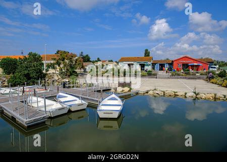 France, Charente-Maritime, île d'Oléron, le Grand-Village-Plage, le port Banque D'Images