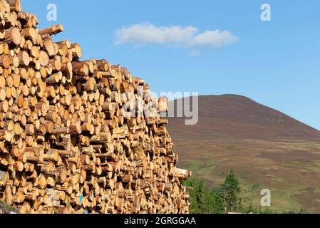 Pile de billes en attente de transport, Sutherland Banque D'Images