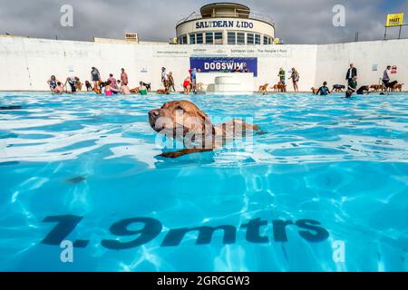 Saltdean, 25 septembre 2021 : la séance annuelle de natation de fin de saison au Saltdean Lido était, comme toujours, un événement de liquidation. Banque D'Images