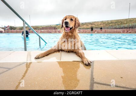 Saltdean, 25 septembre 2021 : la séance annuelle de natation de fin de saison au Saltdean Lido était, comme toujours, un événement de liquidation. Banque D'Images