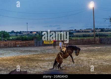 BIG TIMBER, MONTANA - 18 AOÛT : Rodeo Horse à l'occasion d'un rodéo à Big Timber, le 18 août 2021 à Big Timber, Montana Banque D'Images