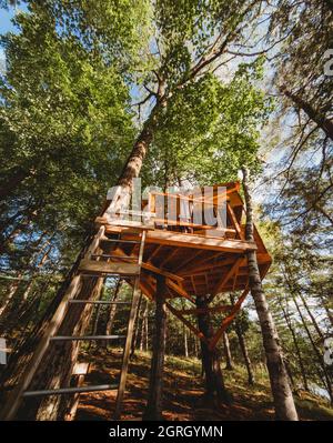 Jeune garçon qui regarde sur le rail d'une maison d'arbres à côté d'un lac. Banque D'Images