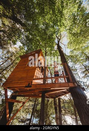 Jeune garçon qui regarde sur le rail d'une maison d'arbres à côté d'un lac. Banque D'Images