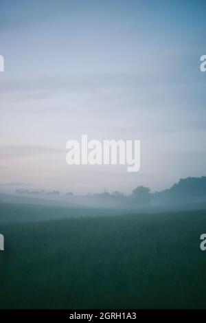 Brouillard matinal sur les collines ondulantes Banque D'Images