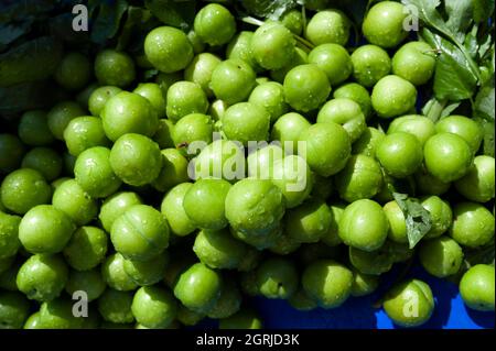 Prunes vert humide. Banque D'Images