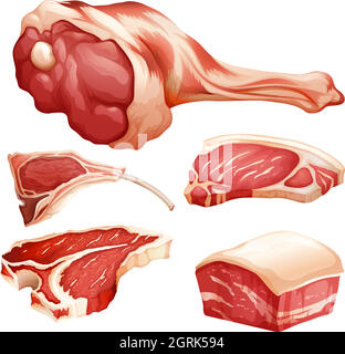 Ensemble de bœuf Illustration de Vecteur