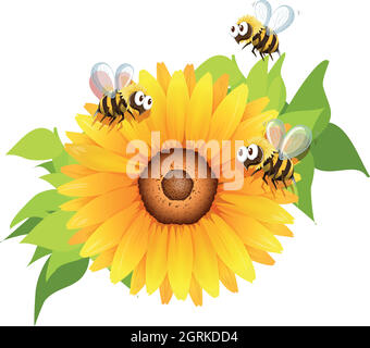 Les abeilles volant autour du tournesol Illustration de Vecteur