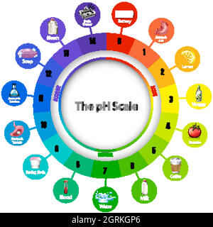 Schéma illustrant l'échelle de ph Illustration de Vecteur