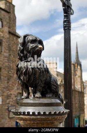 Greyfriars Bobby, statue du célèbre Terrier de skye, Édimbourg, Écosse Banque D'Images