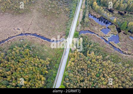 Vue aérienne du drone de la route en béton croisant la petite rivière bleue parmi le pin d'automne, les forêts de feuillage, les tourbières de couleur jaune vert or. Des arbres en période d'or et des routes vides en automne Banque D'Images