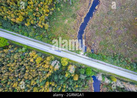 Vue aérienne du drone de la route en béton croisant la petite rivière bleue parmi le pin d'automne, les forêts de feuillage, les tourbières de couleur jaune vert or. Des arbres en période d'or et des routes vides en automne Banque D'Images