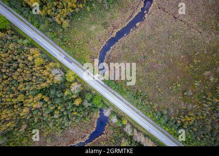 Vue aérienne du drone de la route en béton croisant la petite rivière bleue parmi le pin d'automne, les forêts de feuillage, les tourbières de couleur jaune vert or. Des arbres en période d'or et des routes vides en automne Banque D'Images