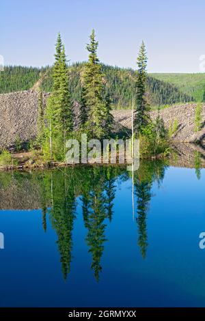 Canada, territoire du Yukon, région du Klondike, résidus de drague aurifère Banque D'Images