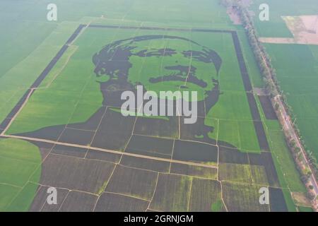 Non exclusif: DHAKA, BANGLADESH - 13 MARS 2021: Vue aérienne du portrait de Bangabandhu Sheikh Mujibur Rahman sur un riz de campagne avec une dimension Banque D'Images