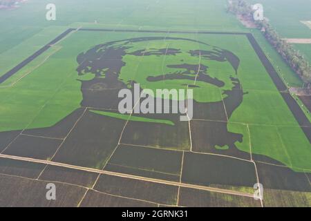 Non exclusif: DHAKA, BANGLADESH - 13 MARS 2021: Vue aérienne du portrait de Bangabandhu Sheikh Mujibur Rahman sur un riz de campagne avec une dimension Banque D'Images