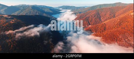 Brouillard matinal incroyable dans les montagnes d'automne. Une belle lumière de lever de soleil brille sur la forêt de hêtre rouge. Panorama de drone. Photographie de paysage Banque D'Images