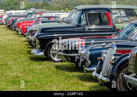 Voitures anciennes et classiques qui remplissent le parking du Goodwood Revival 2014. Champ de véhicules de visiteur garés Banque D'Images