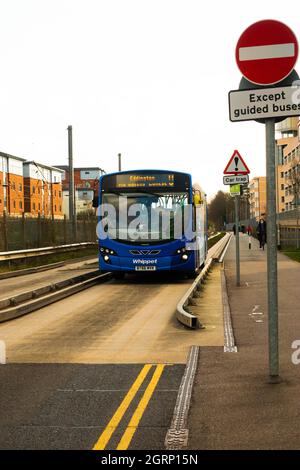 Bus sur la ligne de bus guidée à Cambridge en Angleterre. Cette ligne de bus guidée est une ligne dédiée réservée aux bus, avec des bus qui circulent sur une piste dédiée. Banque D'Images