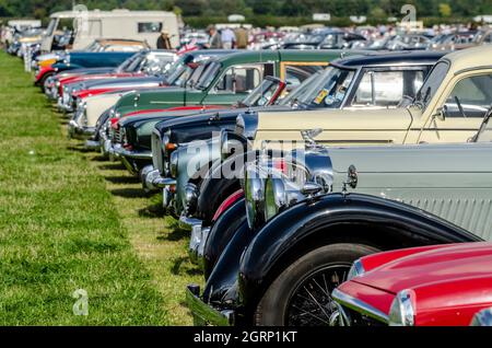 Voitures anciennes et classiques qui remplissent le parking du Goodwood Revival 2014. Champ de véhicules de visiteur garés Banque D'Images