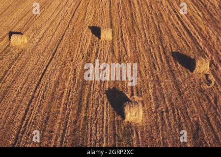 Champ agricole avec foin roulé en piles, vue aérienne Banque D'Images