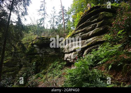 Weiden, Oberpfalz, Bayern, Waldnaabtal mit Felsen, Fluss, Bäumen und Natur ist ein Wander Naturparadies Banque D'Images