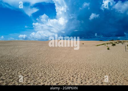 Une photo grand angle du désert comme les dunes de sable de Jockey Ridge dans les rives extérieures de la Caroline du Nord Banque D'Images