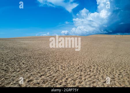 Une photo grand angle des dunes de sable de Jockey Ridge dans les rives extérieures de la Caroline du Nord Banque D'Images