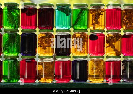 Un ensemble de couleurs différentes petits pots faits maison avec confiture et miel avec baies de montagne sauvages, herbes et cônes de conifères. Photographie alimentaire Banque D'Images