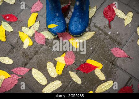 Pieds dans des bottes en caoutchouc bleu debout dans un revêtement en béton humide avec des feuilles d'automne sous la pluie avec abat-jour pour parasol. Concept automne Banque D'Images