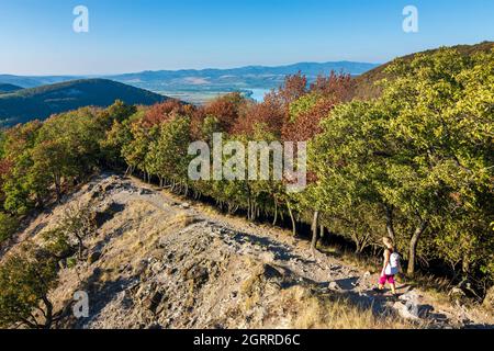 Montagnes de Visegrad : vadallo kövek (pierres de Vadallo), pierres volcaniques, crête de montagne, randonneur dans le parc national du Danube-Ipoly, Pest, Hongrie Banque D'Images