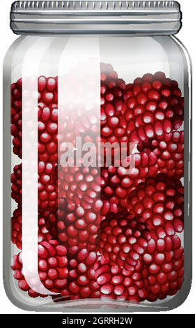 Framboises dans le pot en verre Illustration de Vecteur