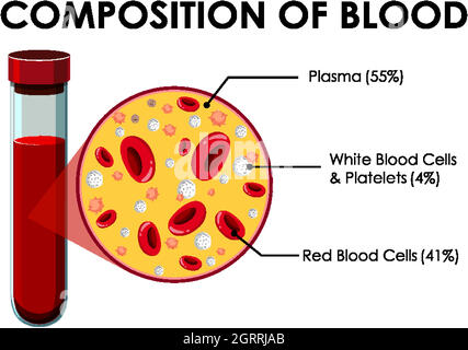 Schéma montrant la composition du sang Illustration de Vecteur