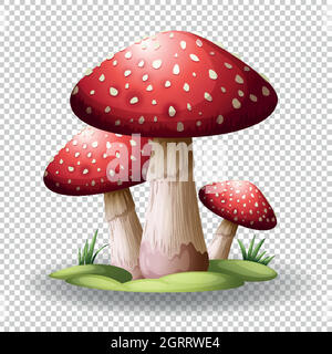 Champignons rouges sur fond transparent Illustration de Vecteur