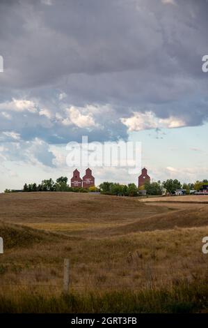 Rowley (Alberta) - le 6 septembre 2021 : silos à grains historiques dans la ville fantôme de Rowley. Banque D'Images