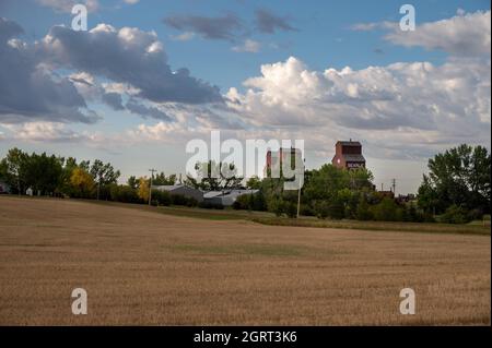 Rowley (Alberta) - le 6 septembre 2021 : silos à grains historiques dans la ville fantôme de Rowley. Banque D'Images