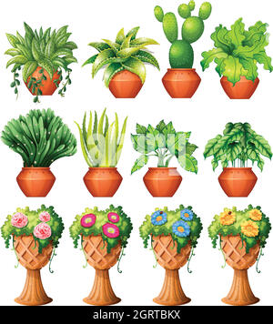 Ensemble de plantes en pots Illustration de Vecteur