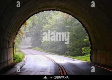 Vue sur une autoroute à travers un tunnel menant aux bois Banque D'Images